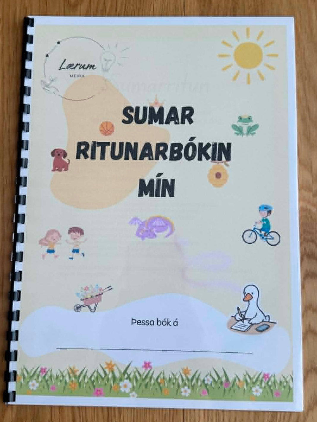 Útprentuð: Sumar ritunarbókin mín (3 útgáfur)
