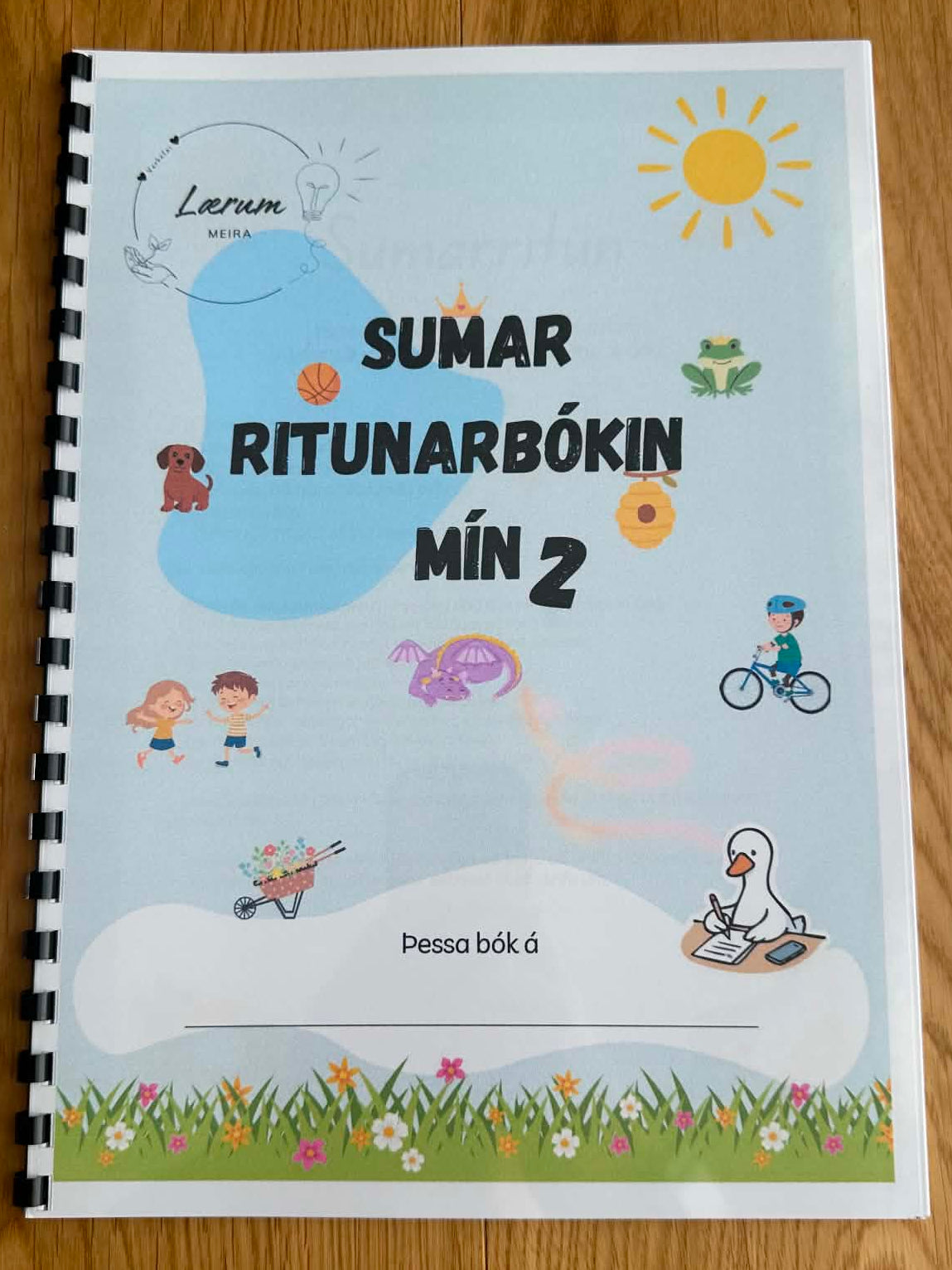 Útprentuð: Sumar ritunarbókin mín (3 útgáfur)