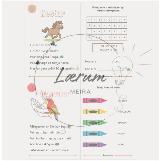 Dýr - Lesskilningshefti 1 📖💫 (Stig 1)