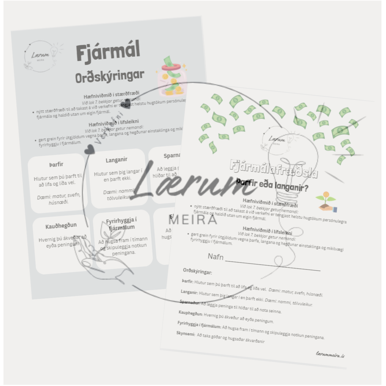 Fjármálafræðsla - Þarfir og langanir 💰