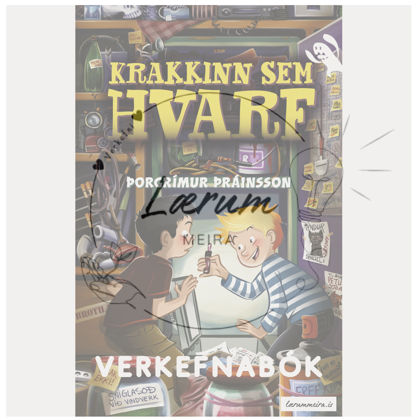 Krakkinn sem hvarf - Verkefnahefti