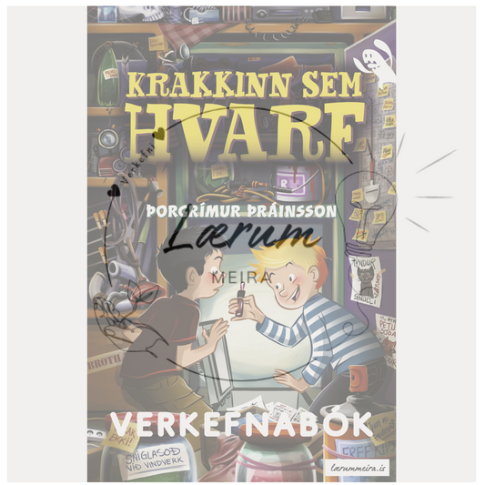 Krakkinn sem hvarf - Verkefnahefti