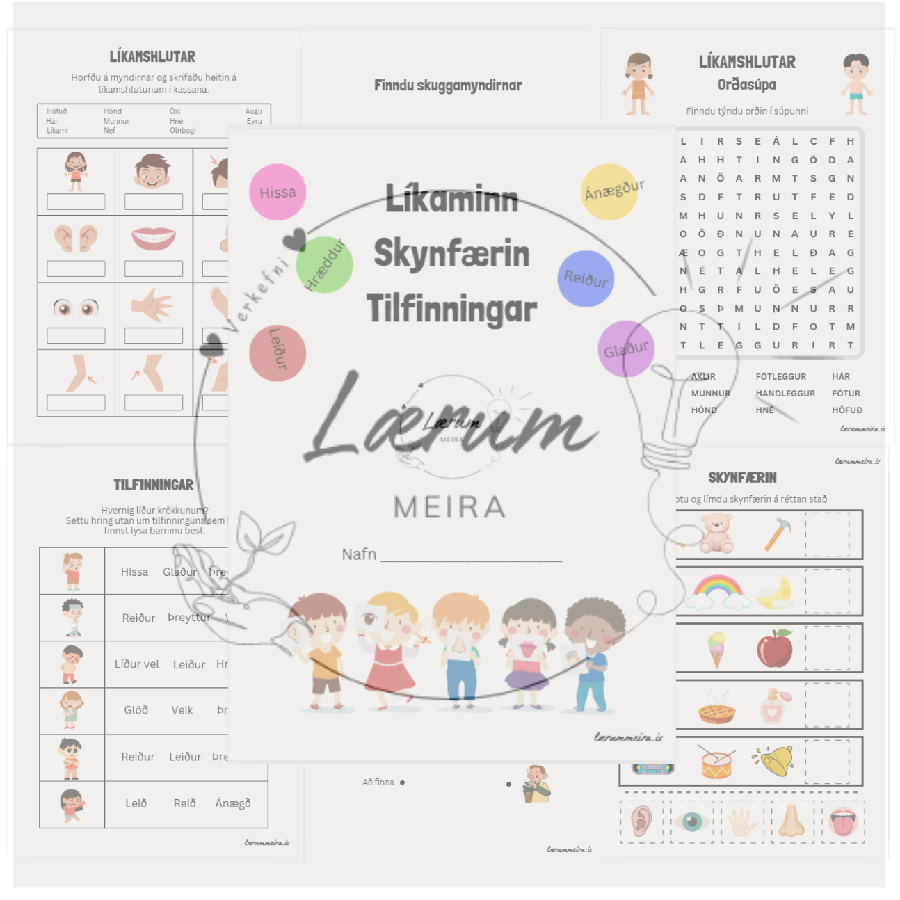 Líkaminn, skynfærin og tilfinningar