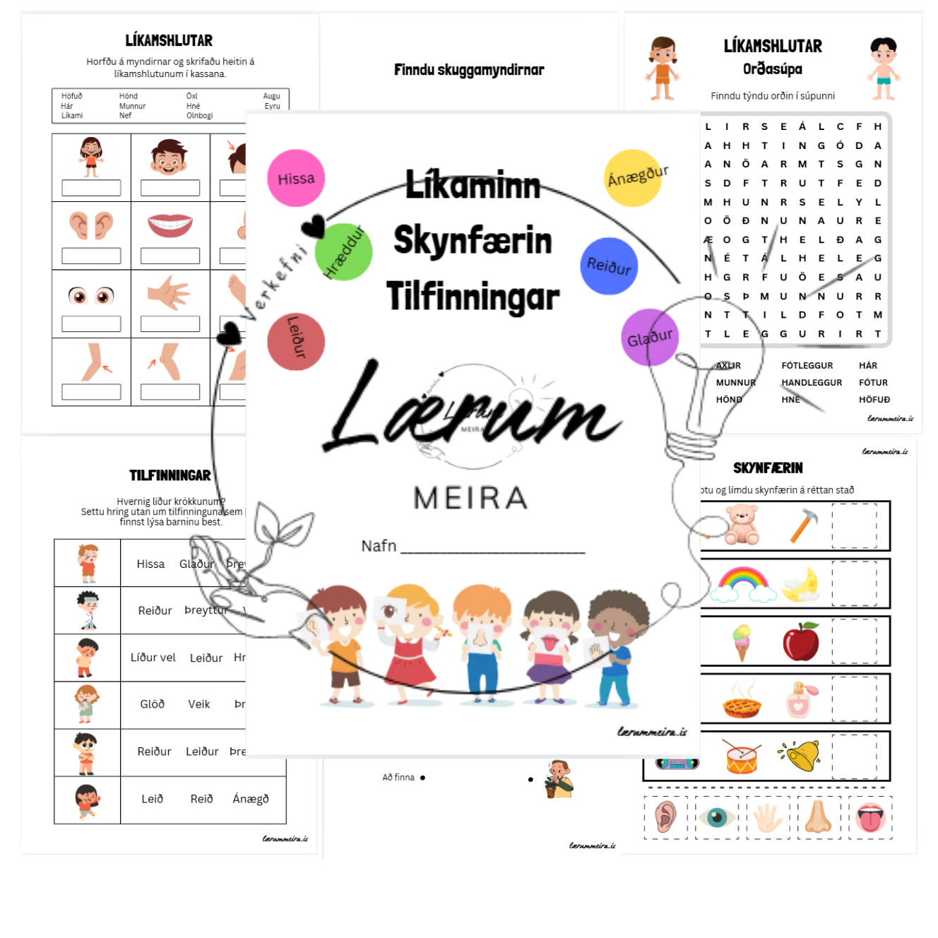 Líkaminn, skynfærin og tilfinningar