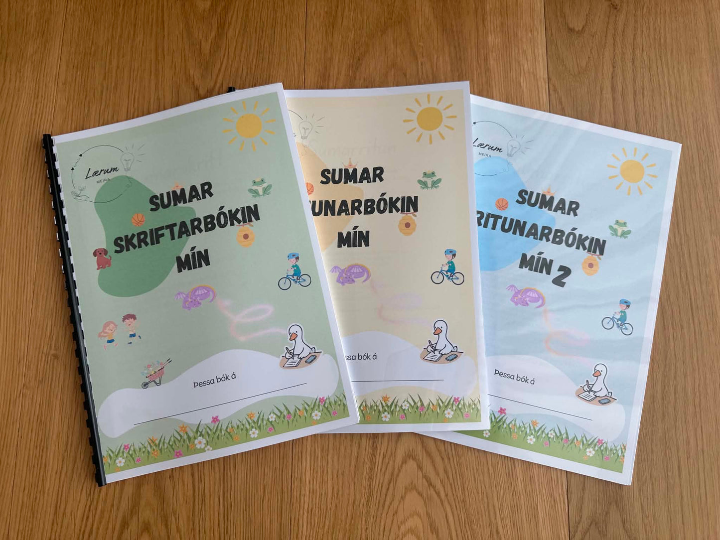 Útprentuð: Sumar ritunarbókin mín (3 útgáfur)